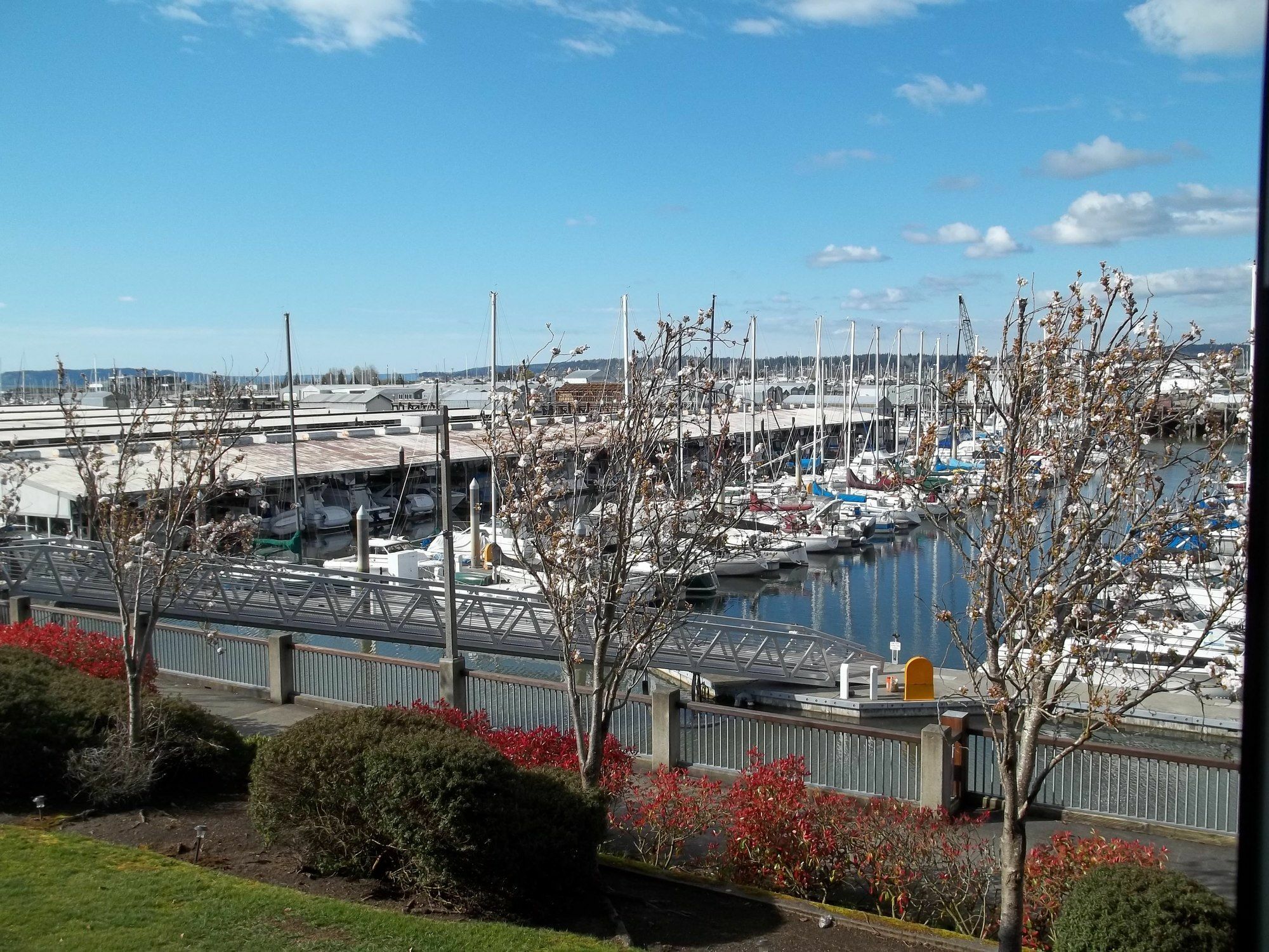 Discover 10 Unforgettable Year-Round Activities in Everett, Washington